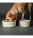 Scruffs Bol Icon Stoneware pour Animaux