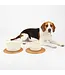 Scruffs Icon Stoneware Feeder Bowl