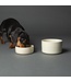 Scruffs Bol Icon Stoneware pour Animaux
