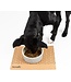 Scruffs Icon Stoneware Feeder Bowl
