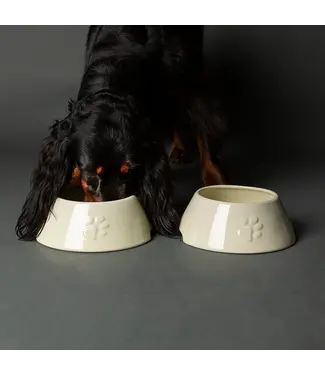 Scruffs Bol Icon pour Chien à Longues Oreilles