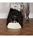 Scruffs Bol Icon pour Chien à Longues Oreilles