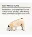 Scruffs Icon Flat Faced Dog Bowl