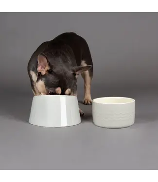 Scruffs Icon Flat Faced Dog Bowl