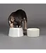 Scruffs Icon Flat Faced Dog Bowl