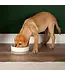 Scruffs Bol Scandi Cream Non Tip pour Animaux