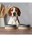 Scruffs Bol Scandi Light Grey Non Tip pour Animaux