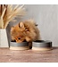 Scruffs Bol Scandi Light Grey Non Tip pour Animaux