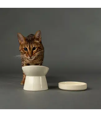Scruffs Icon Saucer pour Félins