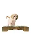 Goo-Eez 3-in-1 Adjustable Height Mango Wood Feeder