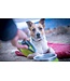 Collapsible Dog Food Bag KlipScoop