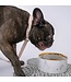 Dexypaws Marble Dog Bowl with Gold Accent
