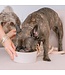 Dexypaws Marble Dog Bowl with Gold Accent