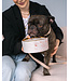 Dexypaws Marble Dog Bowl with Gold Accent