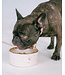 Dexypaws Marble Dog Bowl with Gold Accent