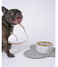 Dexypaws Marble Dog Bowl with Gold Accent