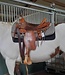 Back On Track Western Saddle Pad Liner