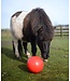 LIKIT Balle à Gâteries Interactive Snak-a-Ball