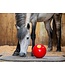 LIKIT Balle à Gâteries Interactive Snak-a-Ball