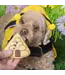 Bosco & Roxy's Beehive Yourself! Handmade Spring Cookies