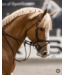 Dy'on Plaited Flash Noseband Bridle with Pull Back