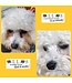 Ollos Eye Care Powdered Dog Supplement