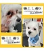 Ollos Eye Care Powdered Dog Supplement