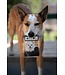 Ollos Eye Care Powdered Dog Supplement