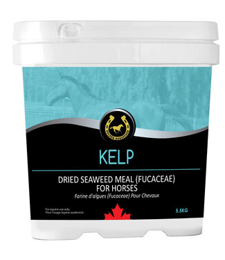 Golden Horseshoe Supplément Kelp de Farine d'Algues