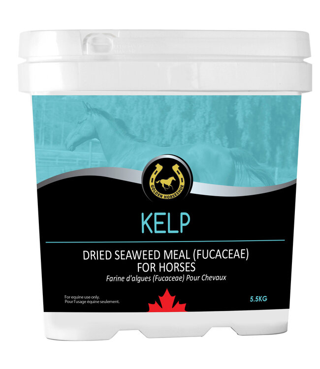 Golden Horseshoe Supplément Kelp de Farine d'Algues