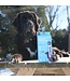 Baci+ Boost Pre & Probiotic Spring Immunity Kit for Dogs