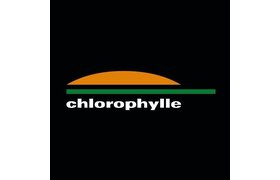 Chlorophylle