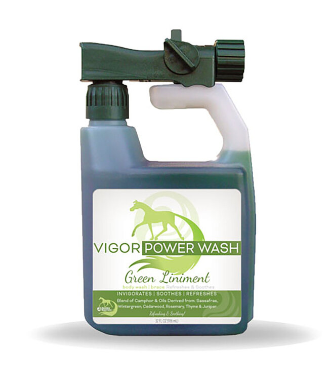 HEALTHY HAIRCARE Vigor Power Wash Green Liniment