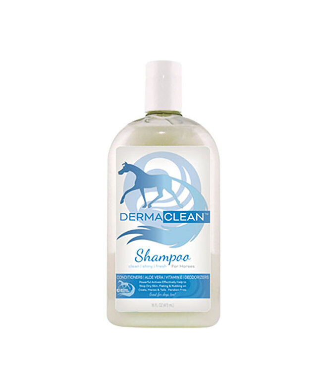 HEALTHY HAIRCARE Antibacterial Derma Clean Shampoo