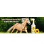 HEALTHY HAIRCARE Horse Sunscreen SPF Sunflower SunCoat