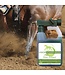 HEALTHY HAIRCARE Vigor Power Wash Green Liniment