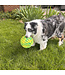 KONG FlexBall Easy-Grip Sport Ball