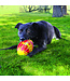KONG FlexBall Sport Football