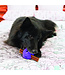 KONG Squeezz Flex Ball
