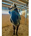 Weaver Original Adjustable Hurricane Blue Chin & Throat Snap 1'' Halter