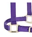 Weaver Licou en Nylon 1'' Ajustable Mauve