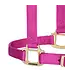Weaver Licou en Nylon 1'' Ajustable Framboise