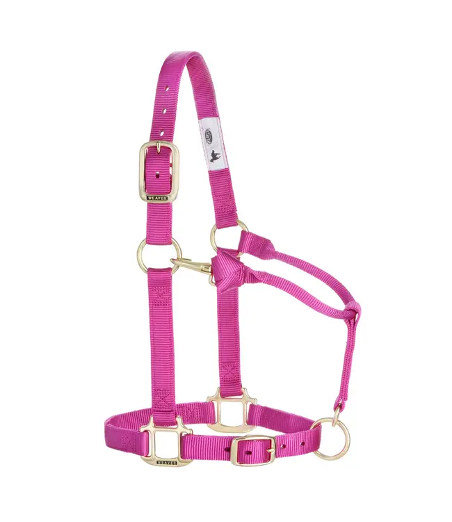 Weaver Licou en Nylon 1'' Ajustable Framboise