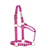 Weaver Licou en Nylon 1'' Ajustable Framboise