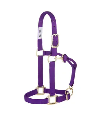 Weaver Licou en Nylon 1'' Ajustable Mauve