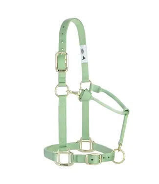 Weaver Licou en Nylon 1'' Ajustable Pistache