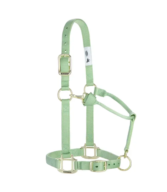 Weaver Licou en Nylon 1'' Ajustable Pistache