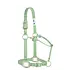 Weaver Licou en Nylon 1'' Ajustable Pistache