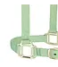 Weaver Licou en Nylon 1'' Ajustable Pistache