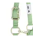 Weaver Licou en Nylon 1'' Ajustable Pistache